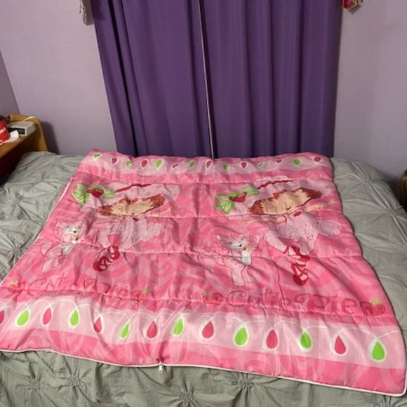 Strawberry Shortcake with Custard the Cat Pink Sleeping Bag Vintage - Picture 5 of 10